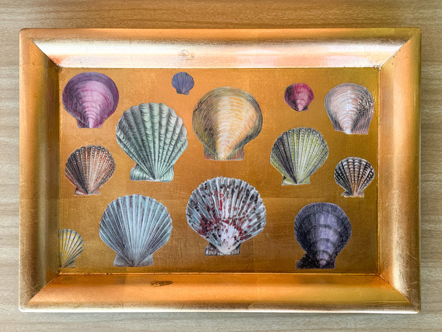 Regency Chic Shell Decoupage Tray