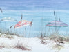 Beach Umbrellas by Jennifer Ardolino