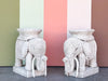 Pair of Wicker Elephant Garden Seats
