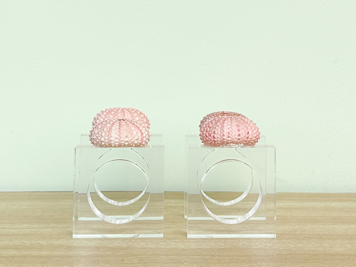 Set of Four Pink Sea Urchin Lucite Napkin Rings