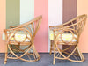 Pair of Cute Coastal Rattan Accent Chairs