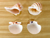 Set of Four Shell Chic Coupes