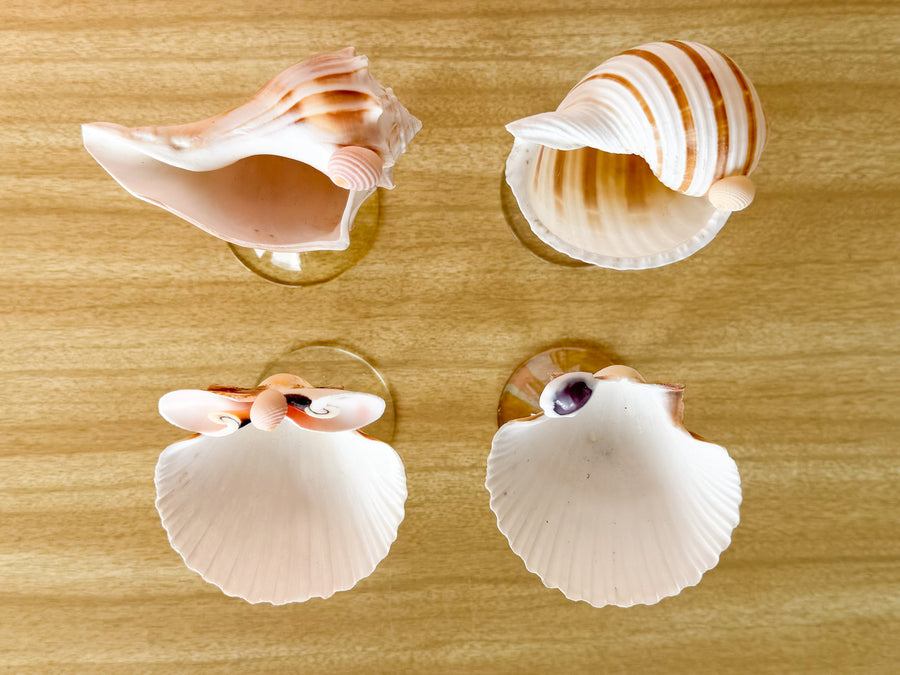 Set of Four Shell Chic Coupes