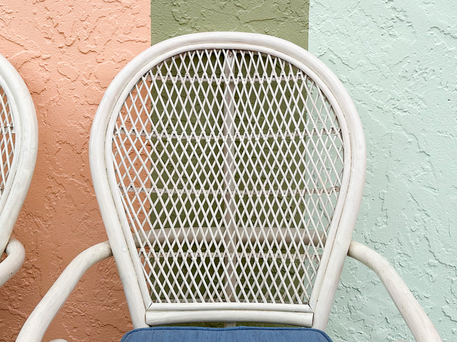 Pair of Coastal Style Balloon Back Chairs