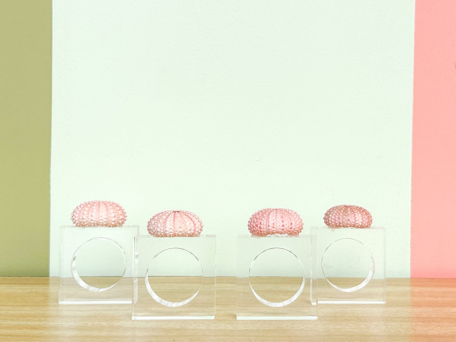 Set of Four Pink Sea Urchin Lucite Napkin Rings
