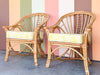 Pair of Cute Coastal Rattan Accent Chairs