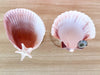 Set of Four Shell Chic Coupes