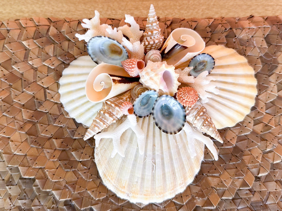 Raffia Shellegance Clutch