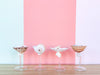 Set of Four Shell Chic Coupes