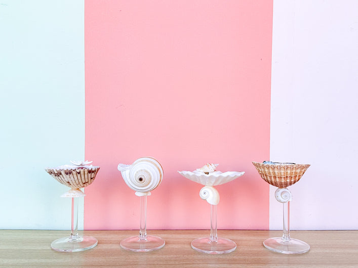 Set of Four Shell Chic Coupes