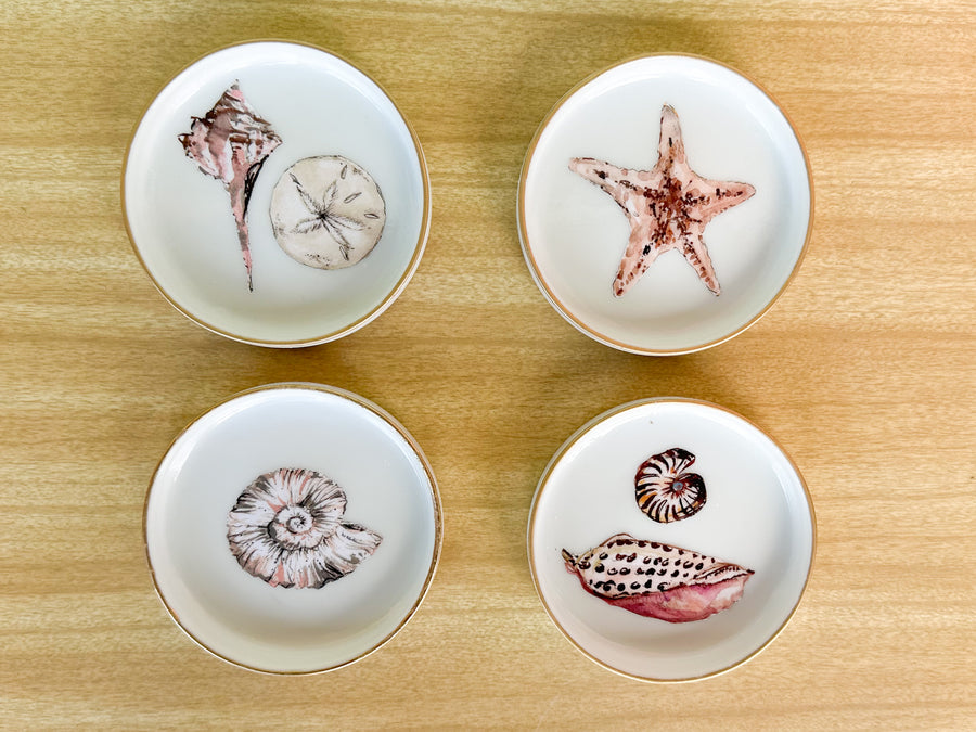 Set of Four Decoupage Shell Coasters