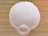 Set of Four Italian Seashell Plates and Platter