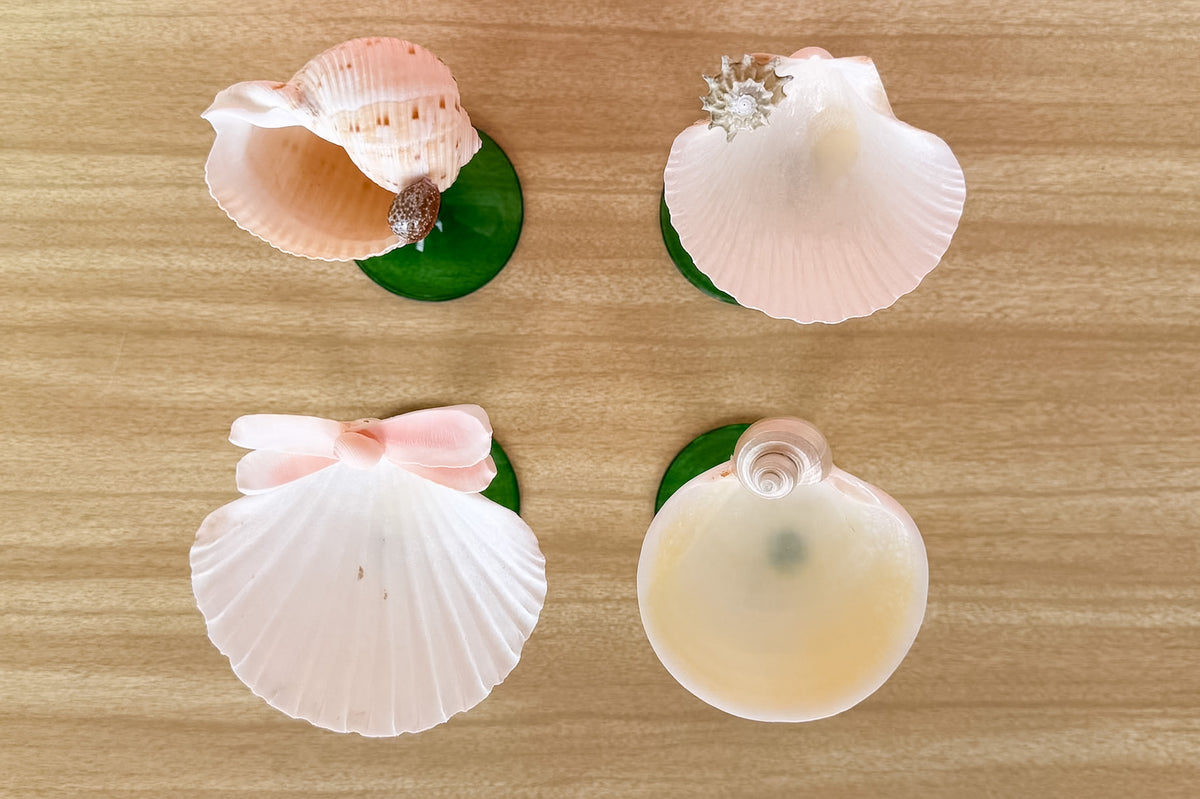 Set of Four Green Shell Chic Coupes