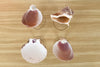 Set of Four Shell Chic Coupes