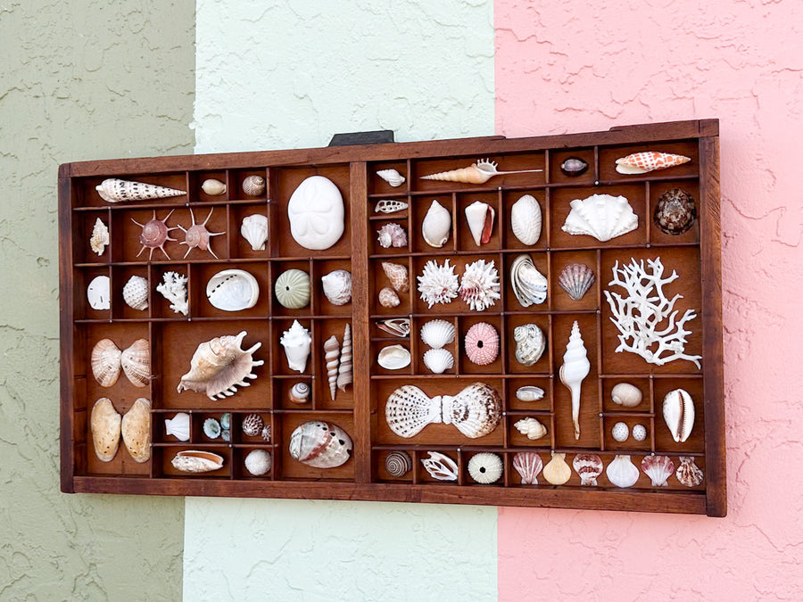 Large Printers Tray Shell Display