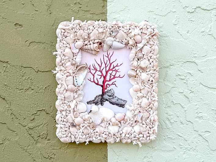 Shellegance Framed Vintage Coral Print
