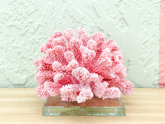 Pink Chic Coral on Lucite