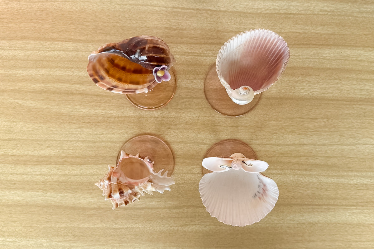 Set of Four Pink Shell Chic Coupes