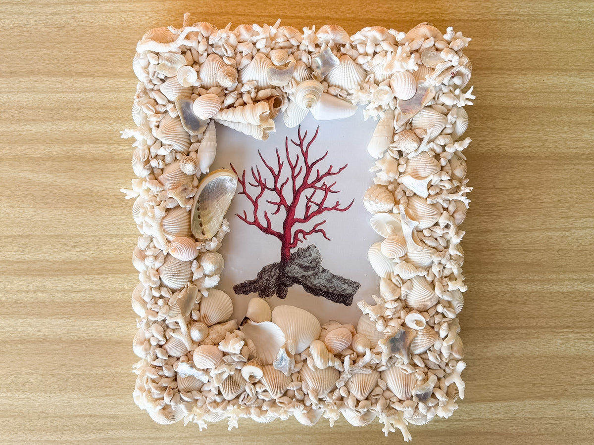 Shellegance Framed Vintage Coral Print