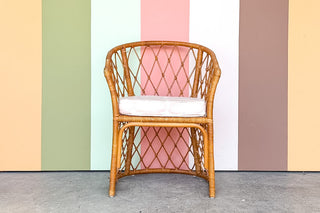 Rattan Barrel Chair