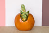 Italian Orange Pitcher
