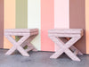 Pair of Lavender X Benches