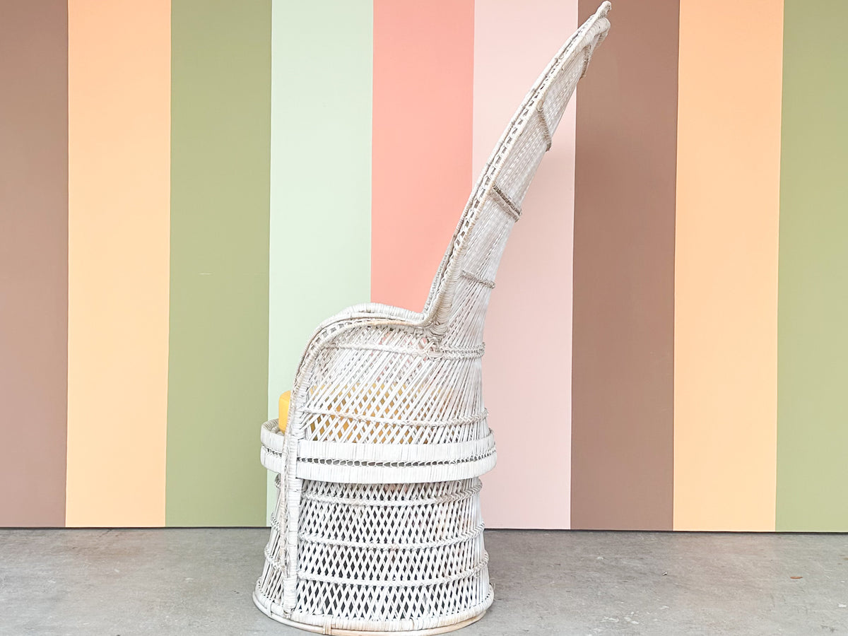 Painted Rattan Peacock Chair