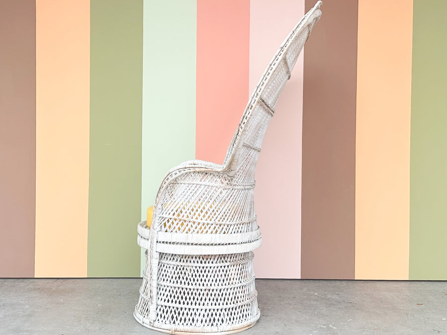 Painted Rattan Peacock Chair