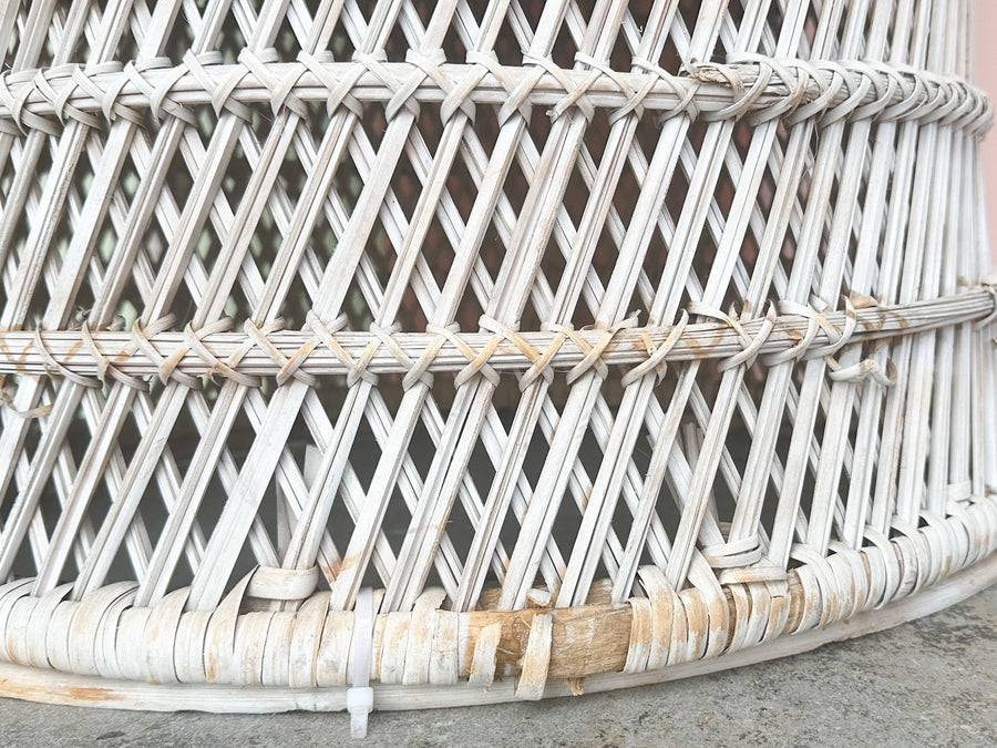 Painted Rattan Peacock Chair