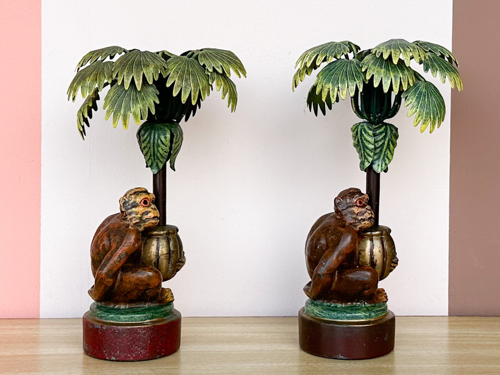 monkey palm plant Palm Beach Regency