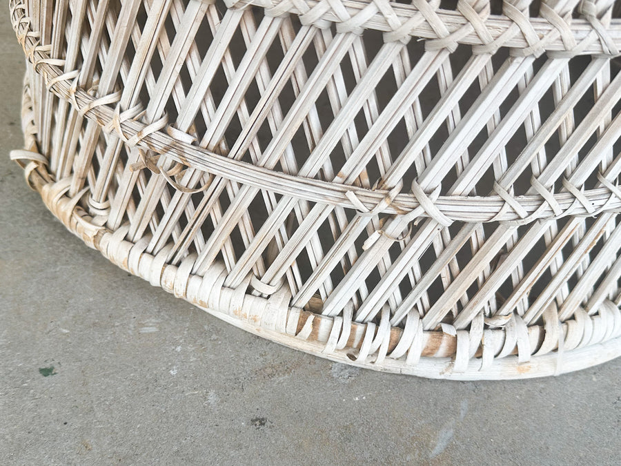 Painted Rattan Peacock Chair
