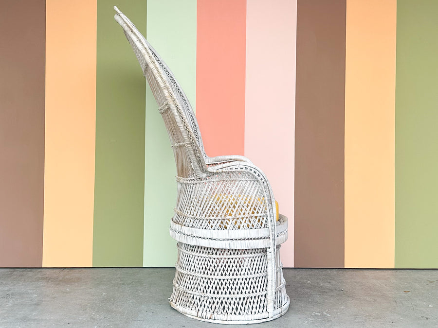 Painted Rattan Peacock Chair