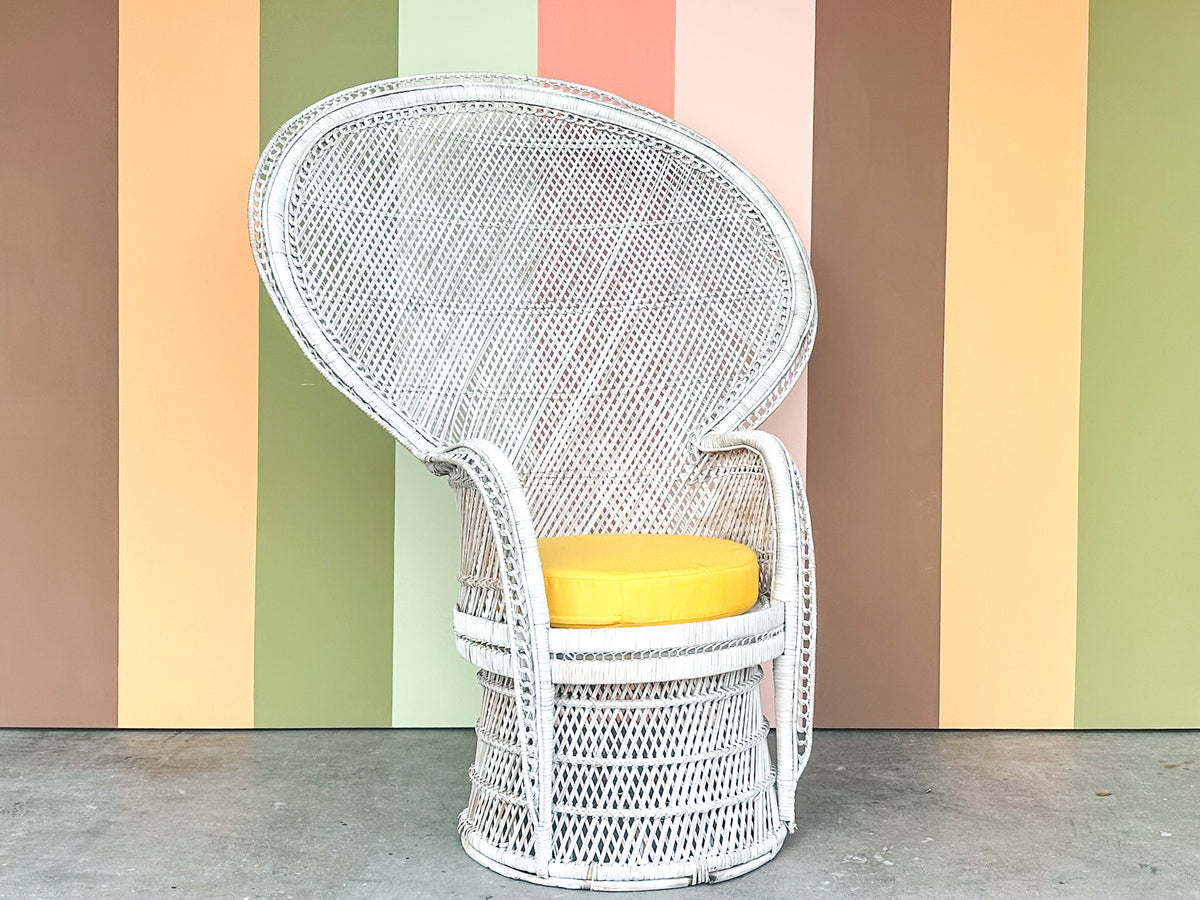 Painted Rattan Peacock Chair