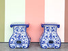 Pair of Blue and White Garden Seats