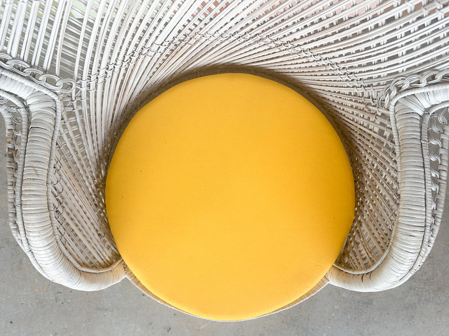 Painted Rattan Peacock Chair