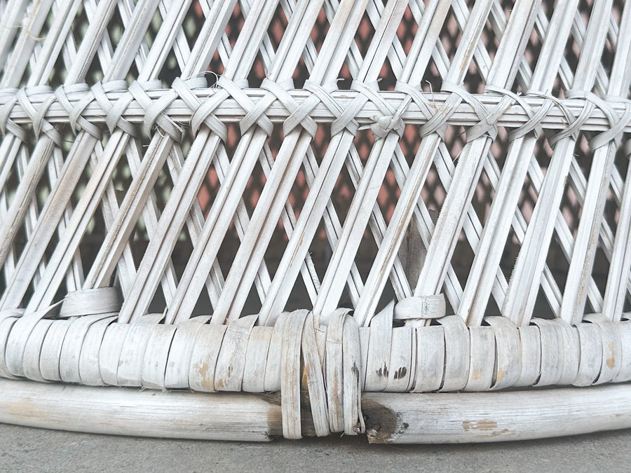 Painted Rattan Peacock Chair