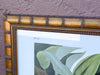 Audubon Society Framed Print