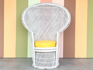 Painted Rattan Peacock Chair