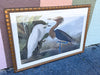 Audubon Society Framed Print