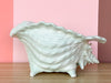 Seaglass Green Conch Shell Cachepot