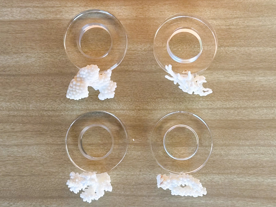 Set of Four Coral Lucite Napkin Rings