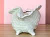 Seaglass Green Conch Shell Cachepot