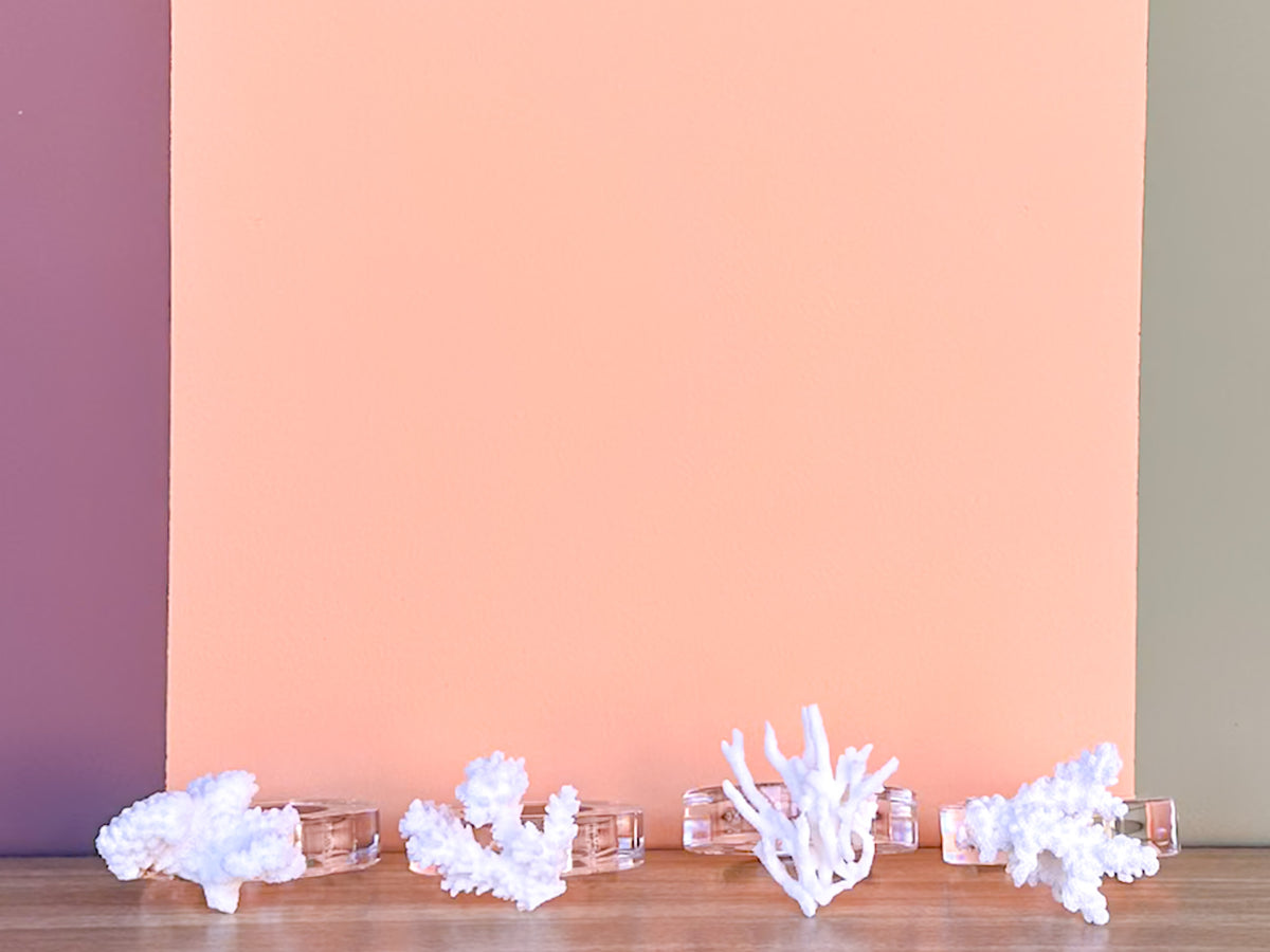 Set of Four Coral Lucite Napkin Rings