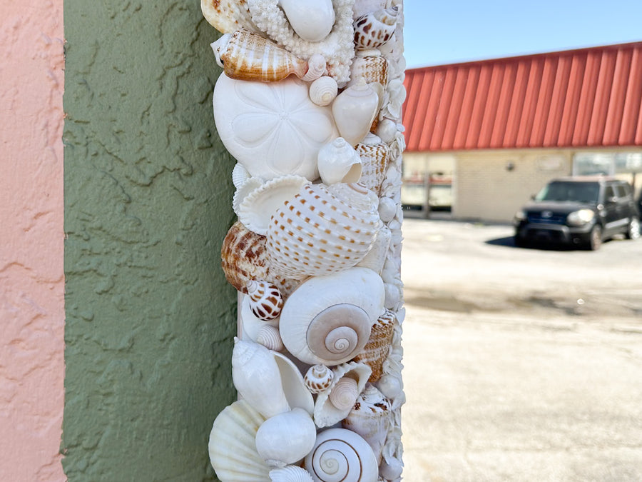 Naturally Beautiful Shell Mirror