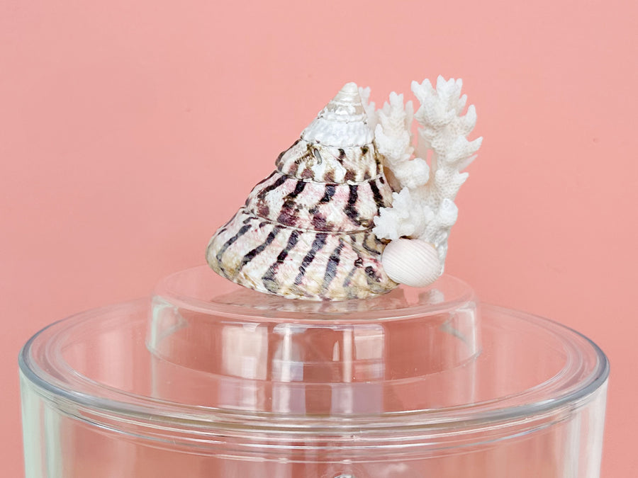 Cone and Coral Lucite Ice Bucket