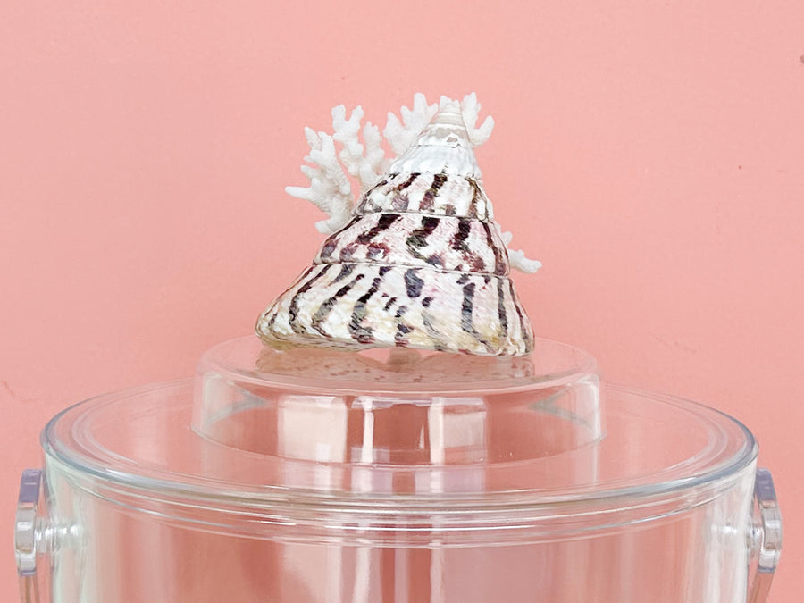 Cone and Coral Lucite Ice Bucket