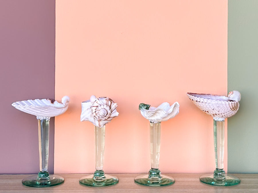 Set of Four Seafoam Shell Coupes