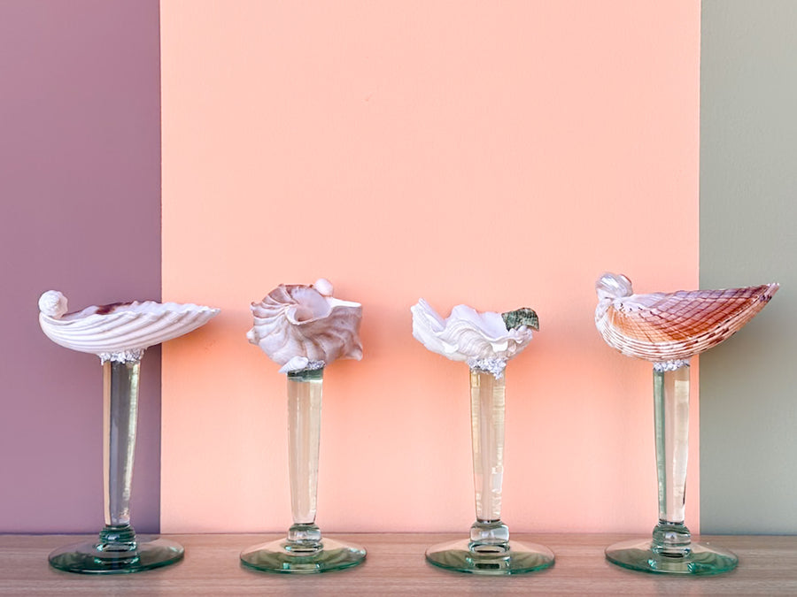 Set of Four Seafoam Shell Coupes