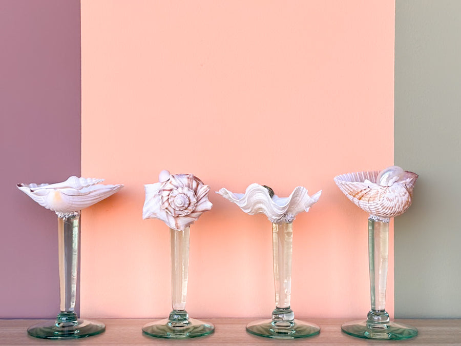 Set of Four Seafoam Shell Coupes
