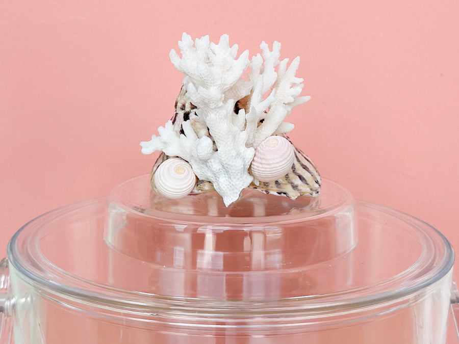 Cone and Coral Lucite Ice Bucket